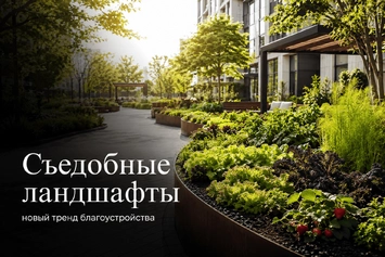 «Новалур» в «Российской газете»: «съедобные ландшафты» как новый формат благоустройства