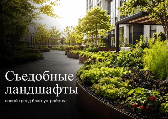 «Новалур» в «Российской газете»: «съедобные ландшафты» как новый формат благоустройства