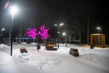 Национальный парк в г. Архангельск