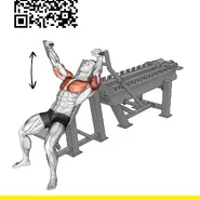 Тренажер для жима лежа под углом