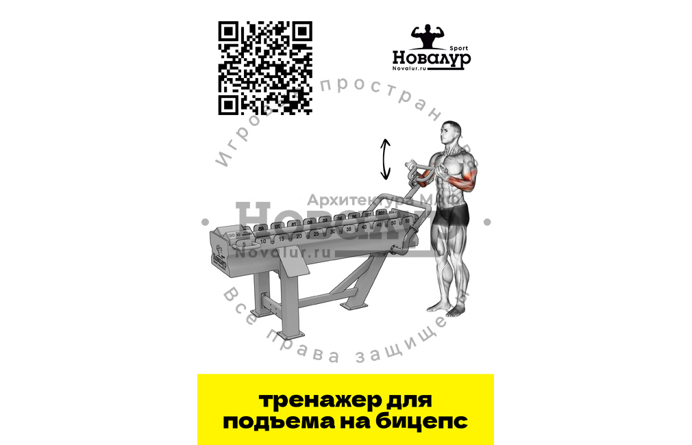 Тренажер для подъема на бицепс