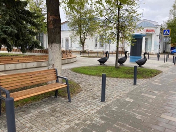 Установка МАФов на Литературном перекрёстке в г. Арзамас